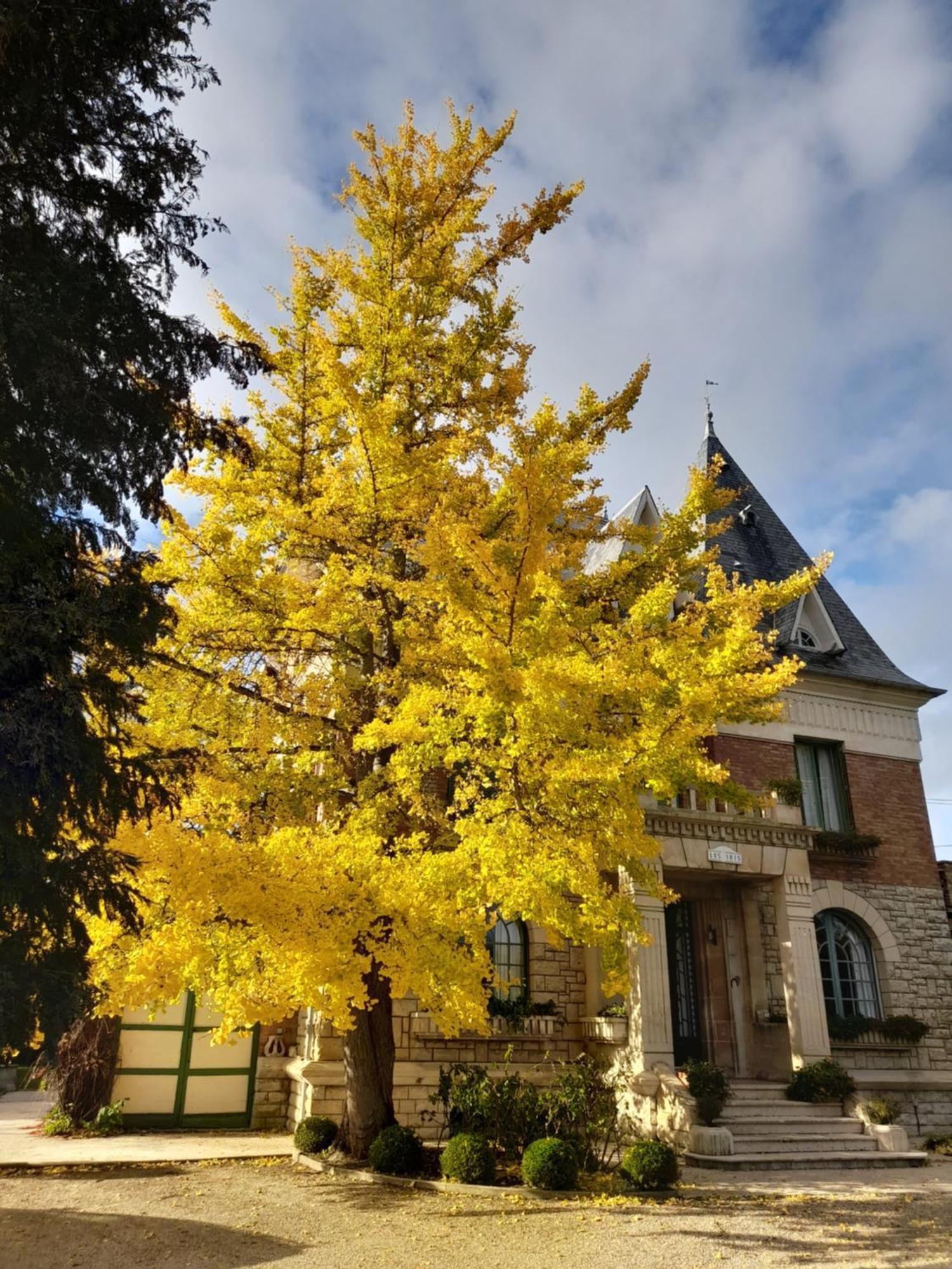 Villa Les Iris Saint-Félix 외부 사진