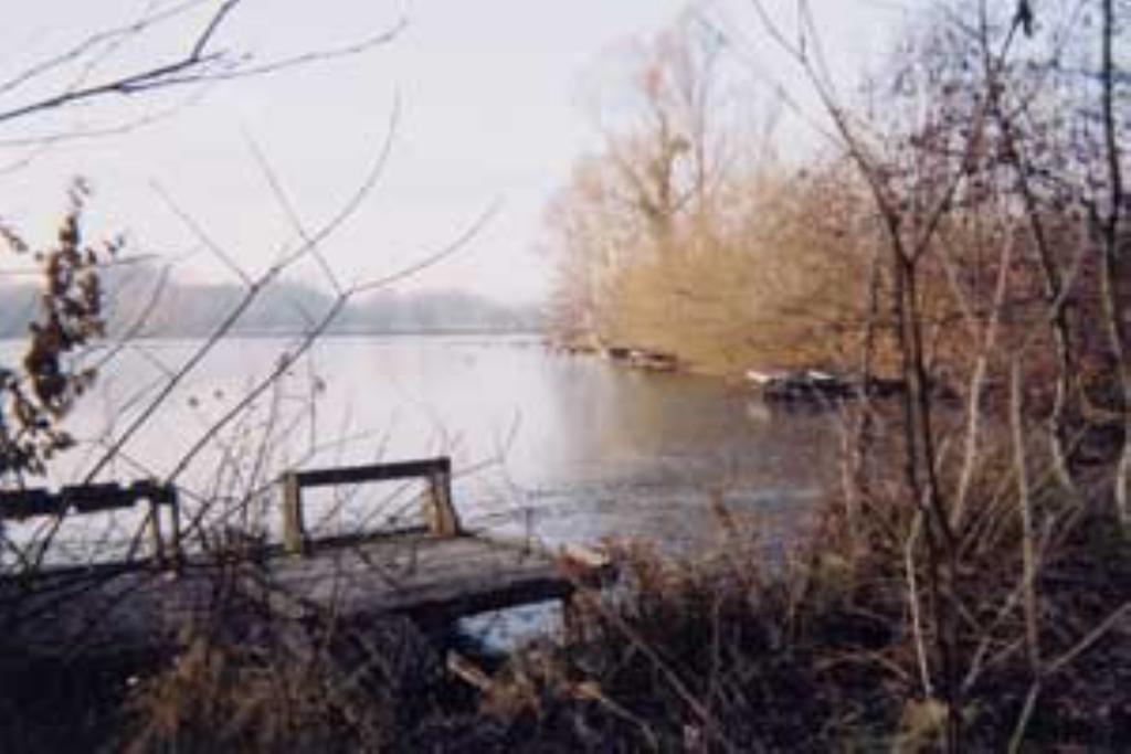 Villa Les Iris Saint-Félix 외부 사진